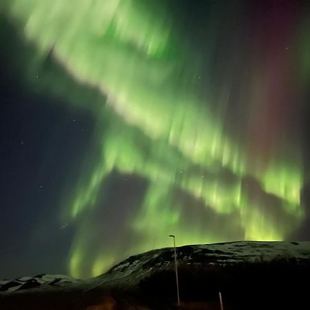 Stora-Asgeirsa Horse Farm Stay Vithigerthi Екстериор снимка
