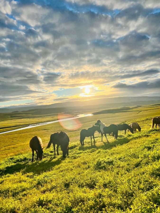 Stora-Asgeirsa Horse Farm Stay Vithigerthi Екстериор снимка
