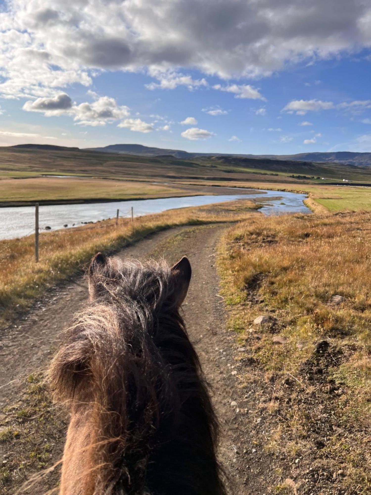 Stora-Asgeirsa Horse Farm Stay Vithigerthi Екстериор снимка