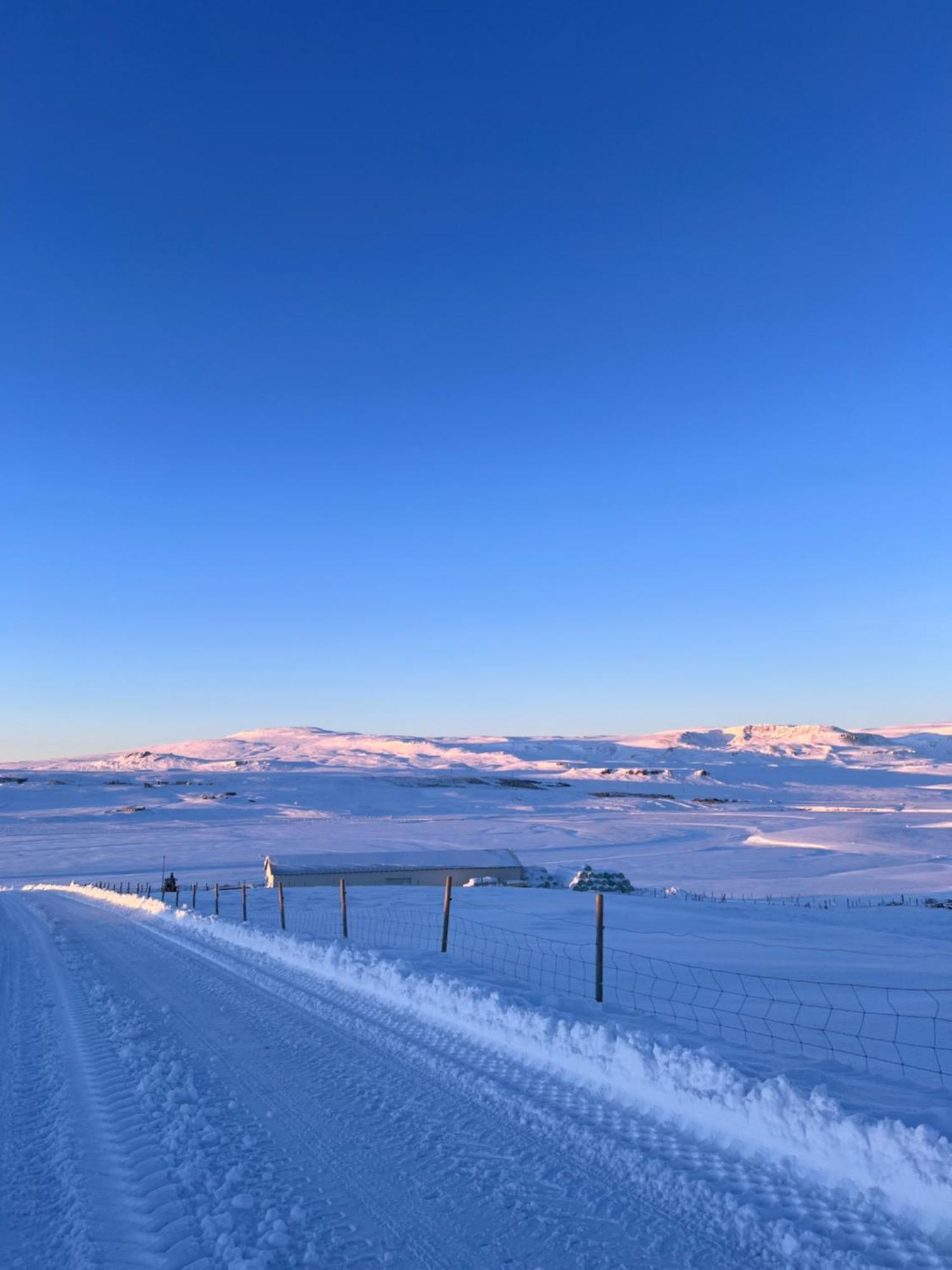 Stora-Asgeirsa Horse Farm Stay Vithigerthi Екстериор снимка