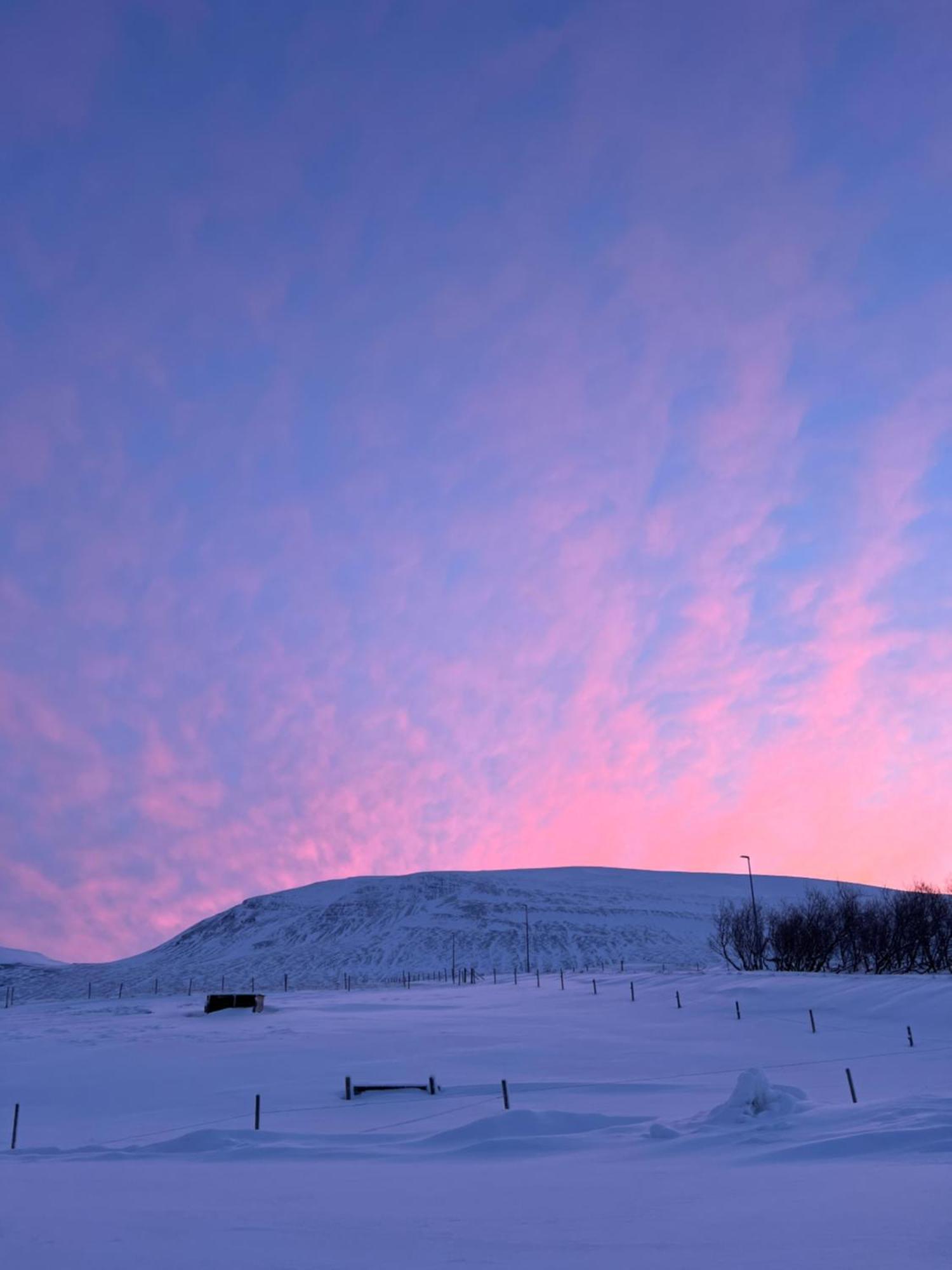Stora-Asgeirsa Horse Farm Stay Vithigerthi Екстериор снимка