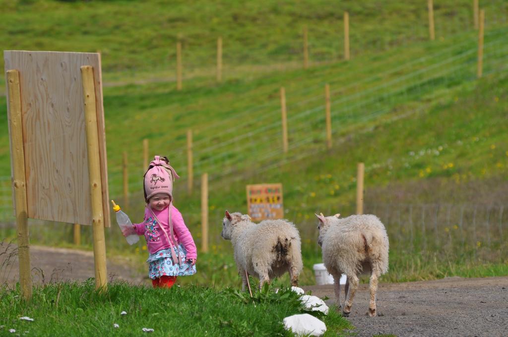 Stora-Asgeirsa Horse Farm Stay Vithigerthi Екстериор снимка