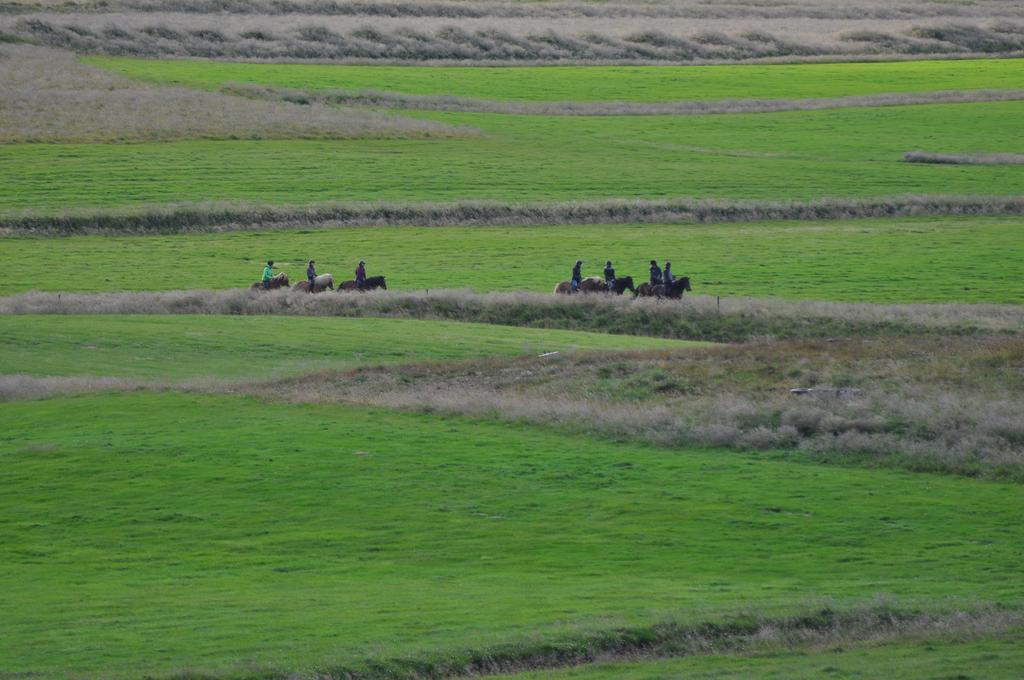 Stora-Asgeirsa Horse Farm Stay Vithigerthi Екстериор снимка