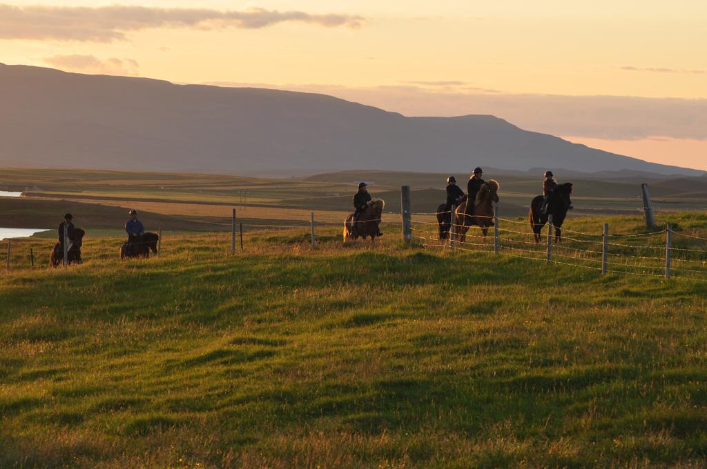 Stora-Asgeirsa Horse Farm Stay Vithigerthi Екстериор снимка